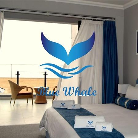 Blue Whale Hotels Волфіш-Бей Екстер'єр фото